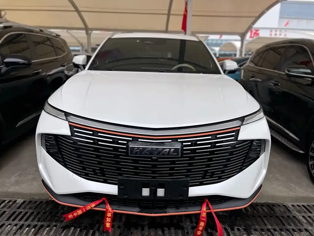 Haval Shenshou 2022 из CN, фото 3