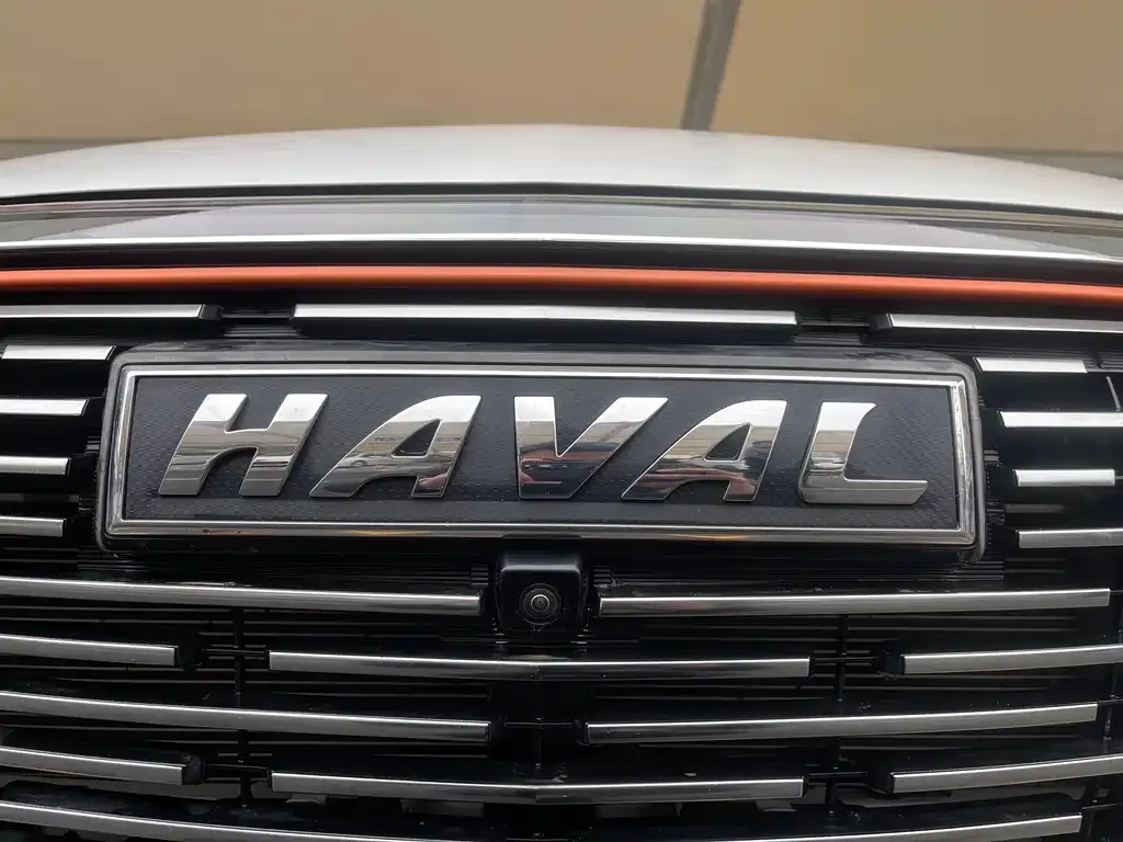 Haval Shenshou 2022 из CN, фото 5