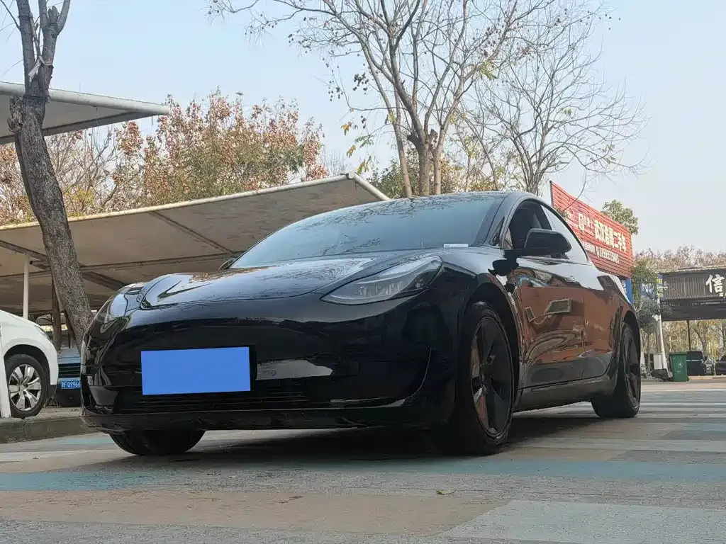 Tesla Model 3 2021 из CN, фото 1