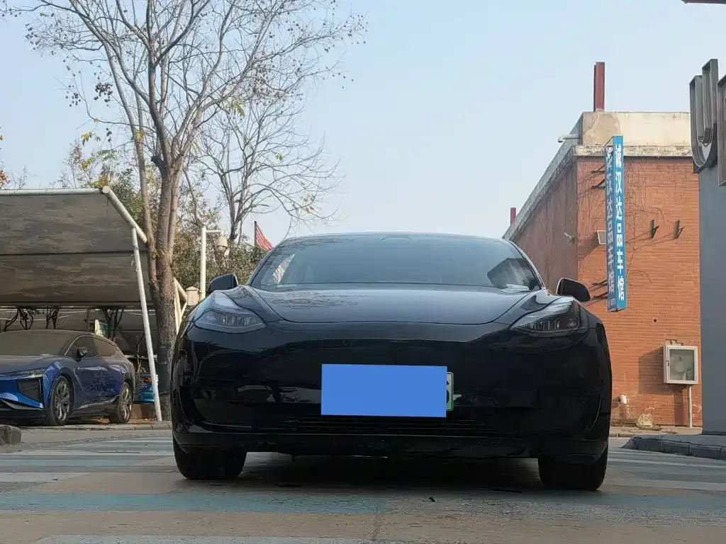 Tesla Model 3 2021 из CN, фото 9