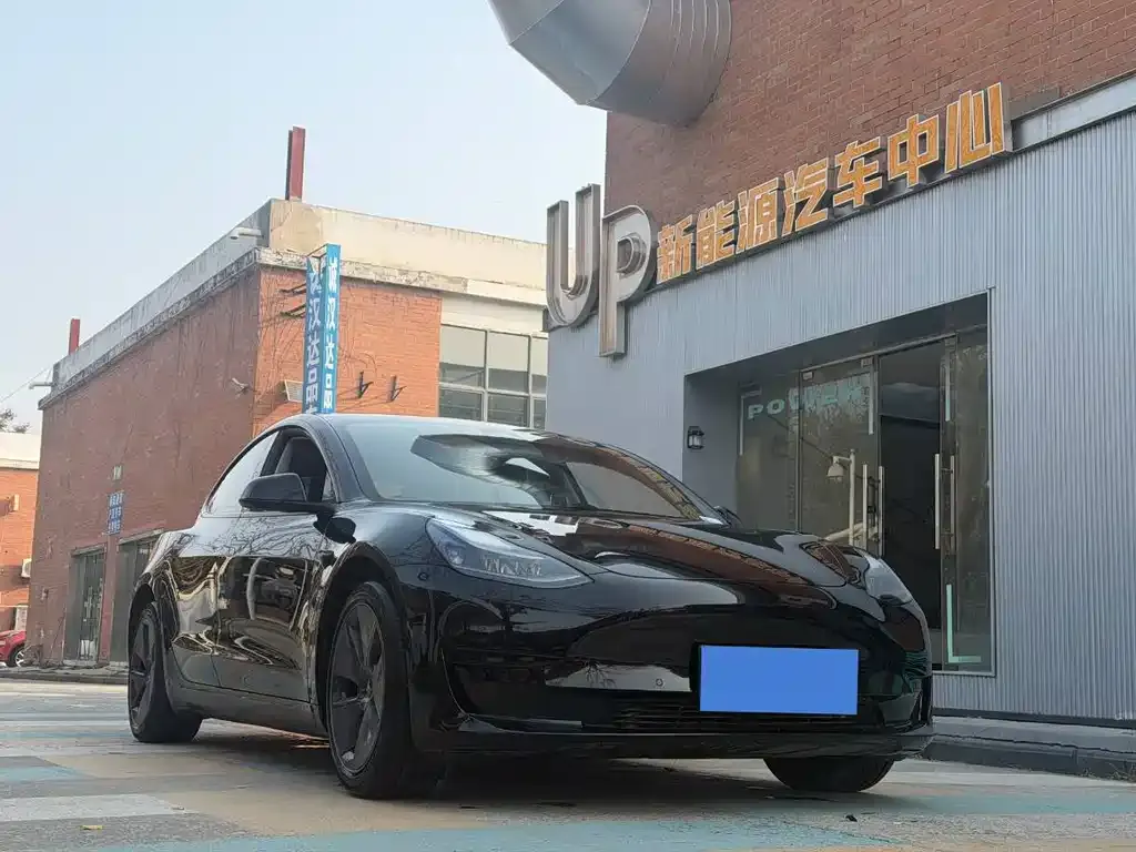 Tesla Model 3 2021 из CN, фото 6