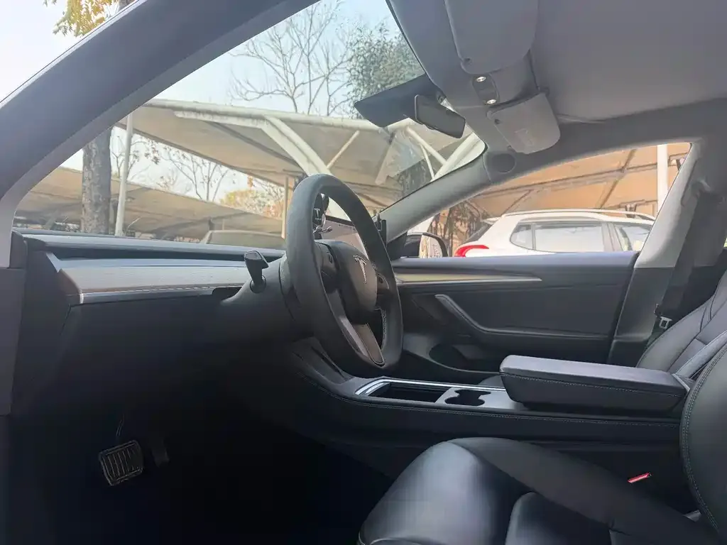 Tesla Model 3 2021 из CN, фото 3