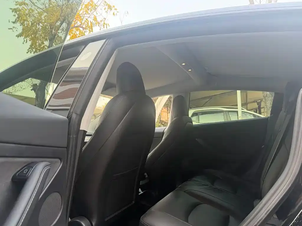 Tesla Model 3 2021 из CN, фото 2