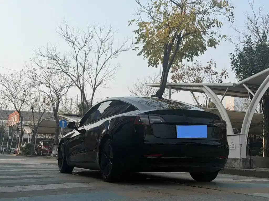 Tesla Model 3 2021 из CN, фото 8