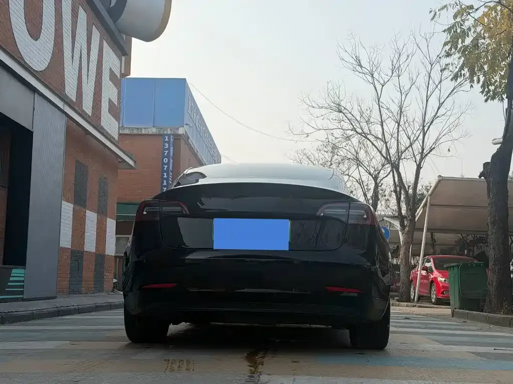 Tesla Model 3 2021 из CN, фото 7