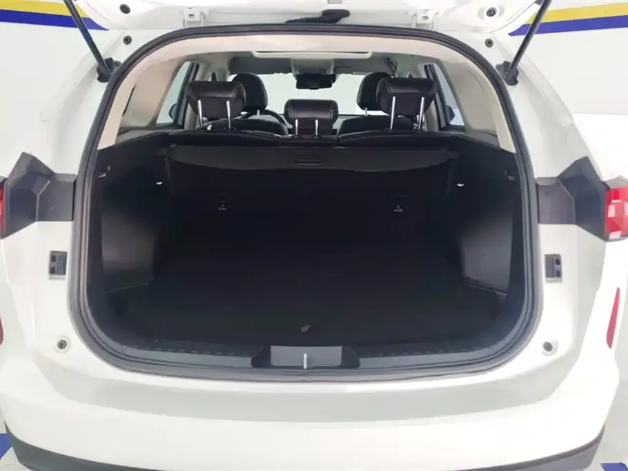Haval H6 2021 из CN, фото 2