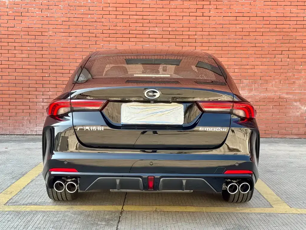 GAC Motor Shadow Leopard 2024 из CN, фото 3