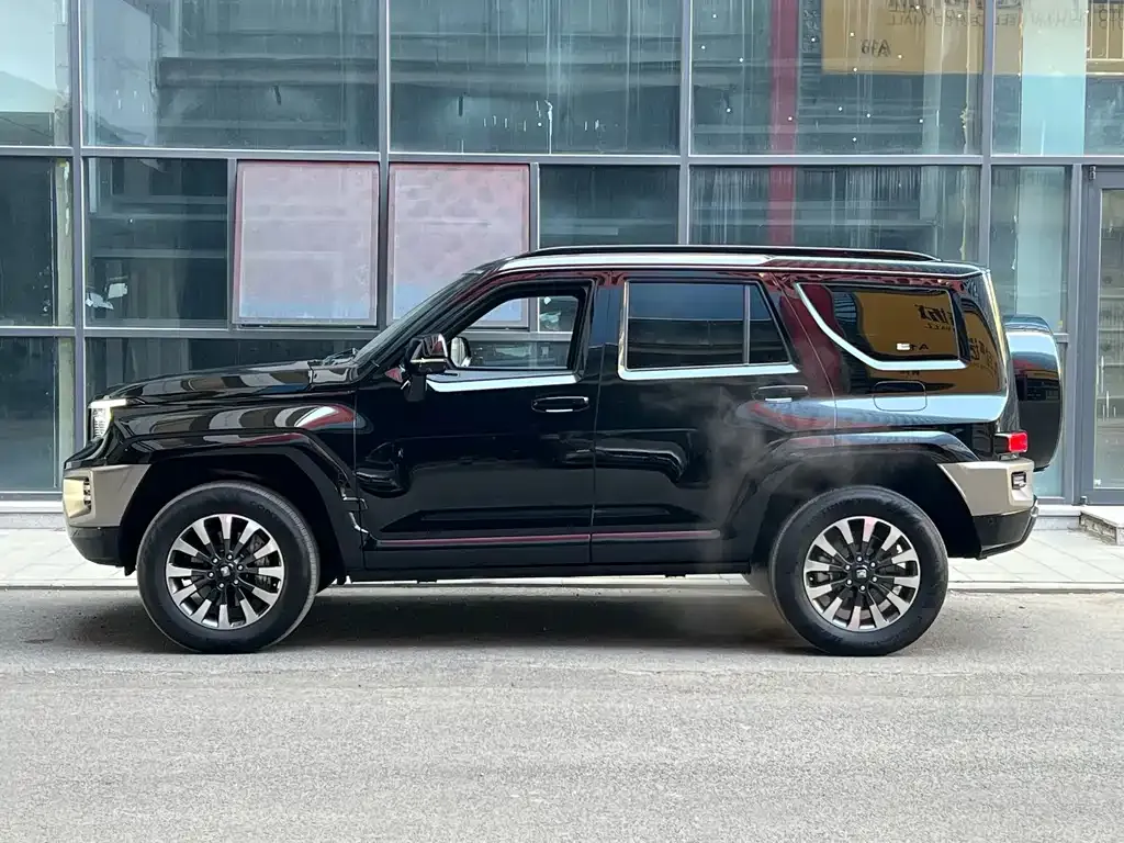 Tank 700 New Energy 2024 из CN, фото 4