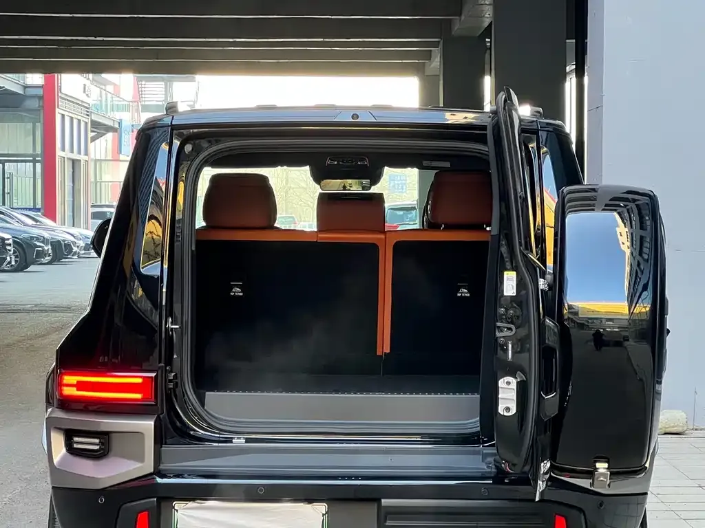 Tank 700 New Energy 2024 из CN, фото 6