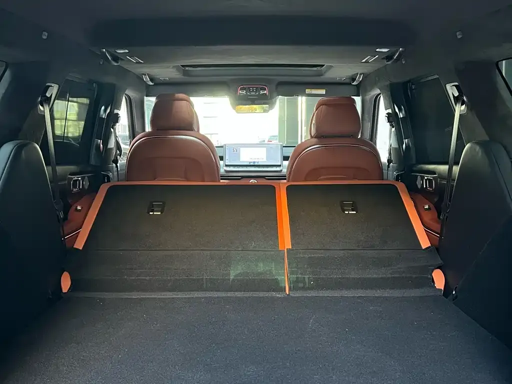 Tank 700 New Energy 2024 из CN, фото 2