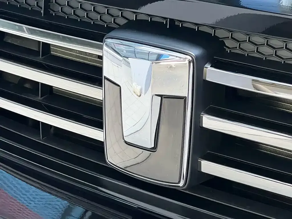 Tank 700 New Energy 2024 из CN, фото 8