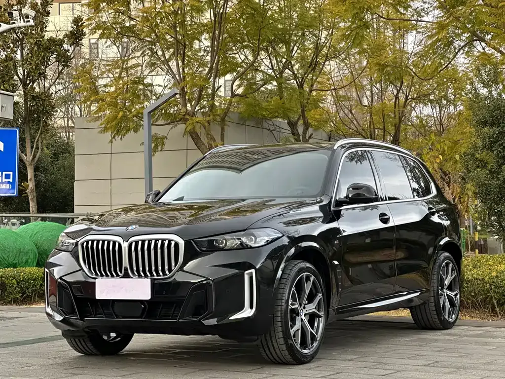 BMW X5 2025 из CN, фото 1