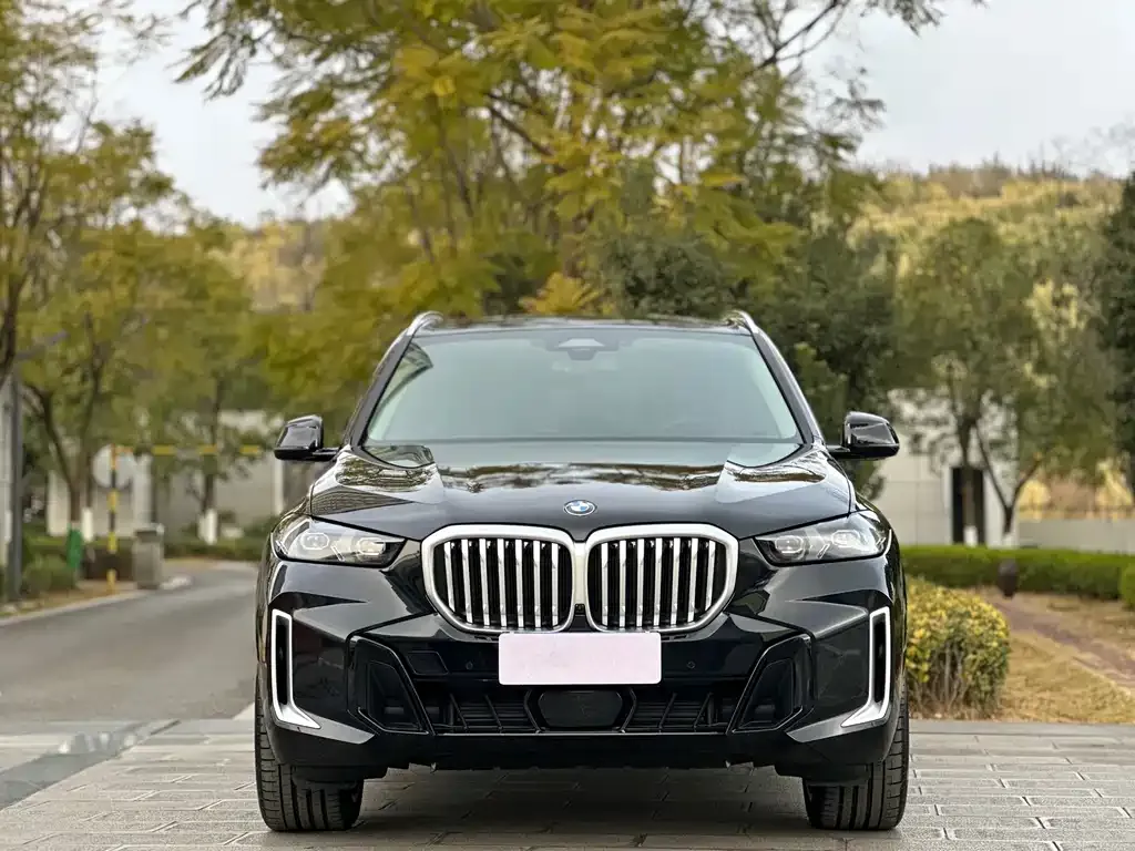 BMW X5 2025 из CN, фото 2
