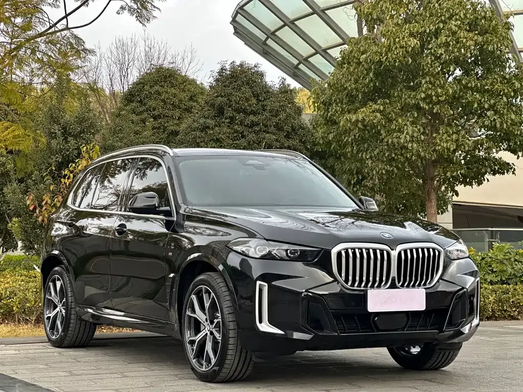 BMW X5 2025 из CN, фото 7