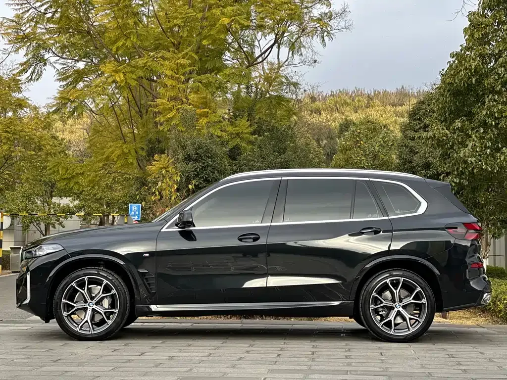 BMW X5 2025 из CN, фото 6