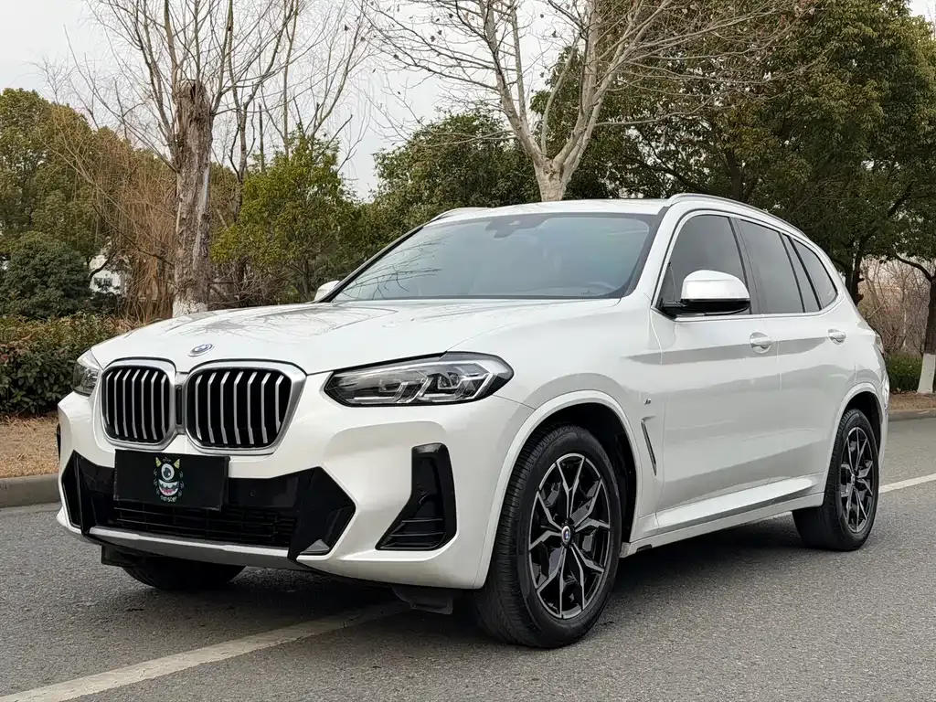 BMW X3 — фото 1