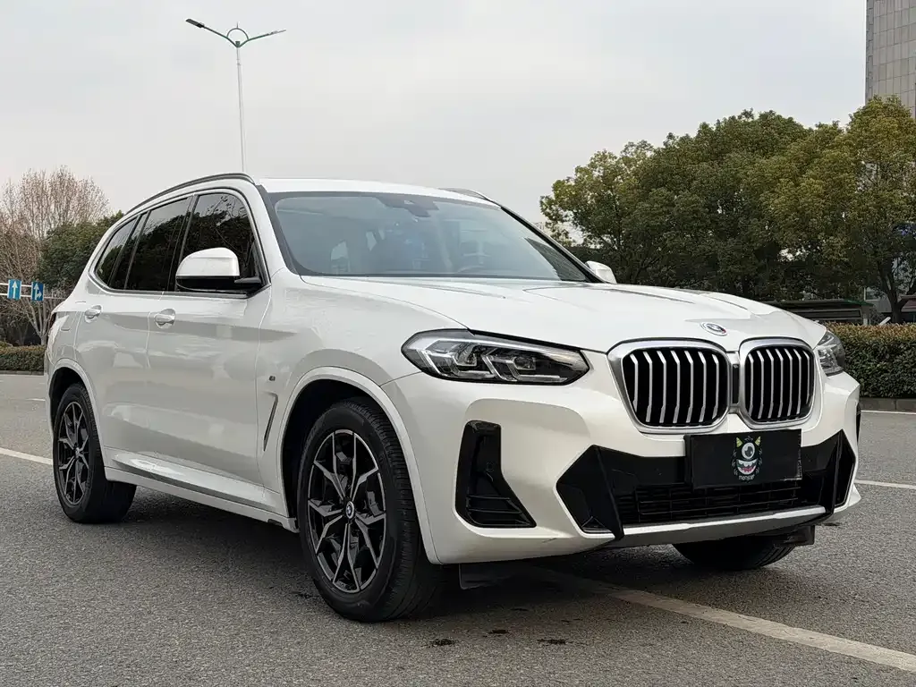 BMW X3 — фото 2