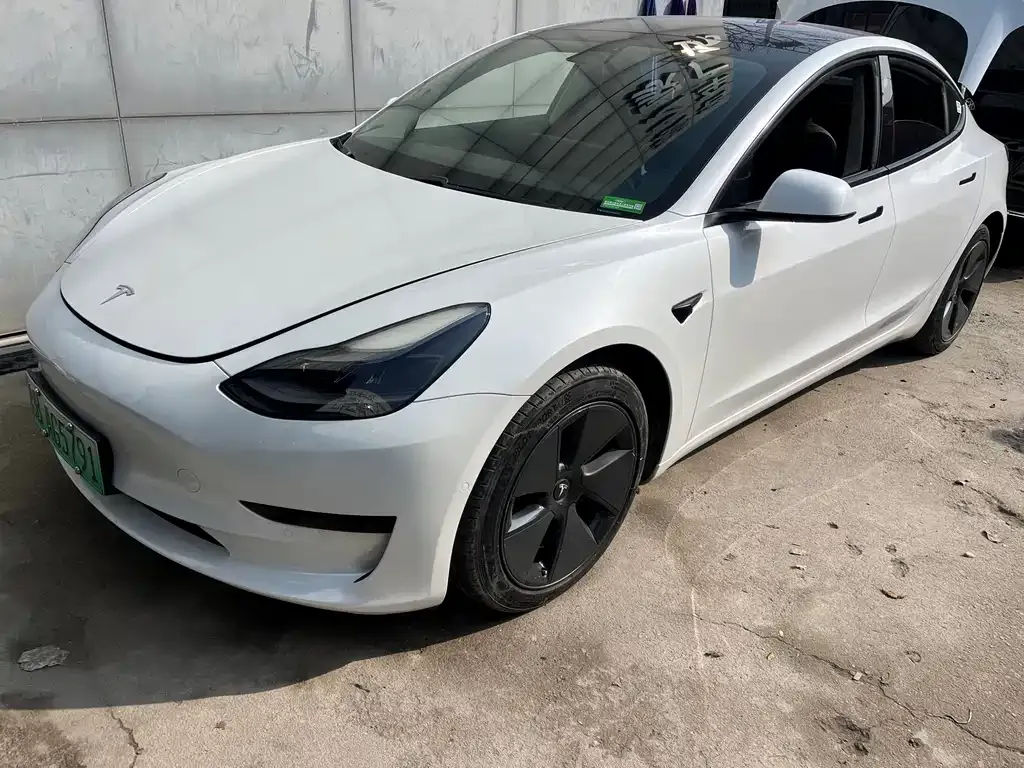 Tesla Model 3 2021 из CN, фото 1