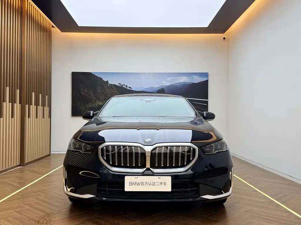 BMW 5 Series 2024 из CN, фото 2