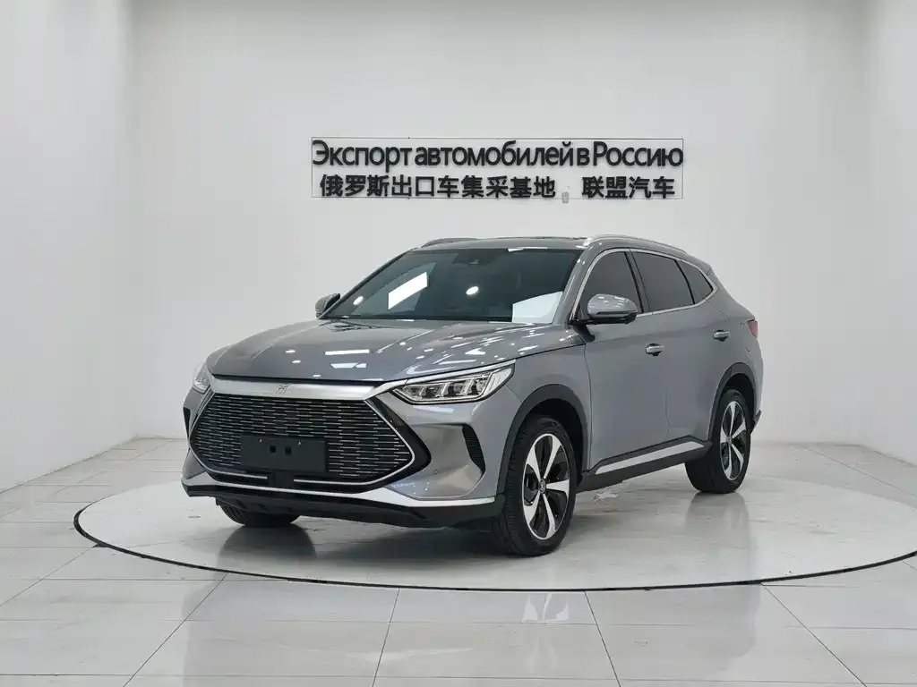 BYD PLUS New Energy 2023 из CN, фото 1