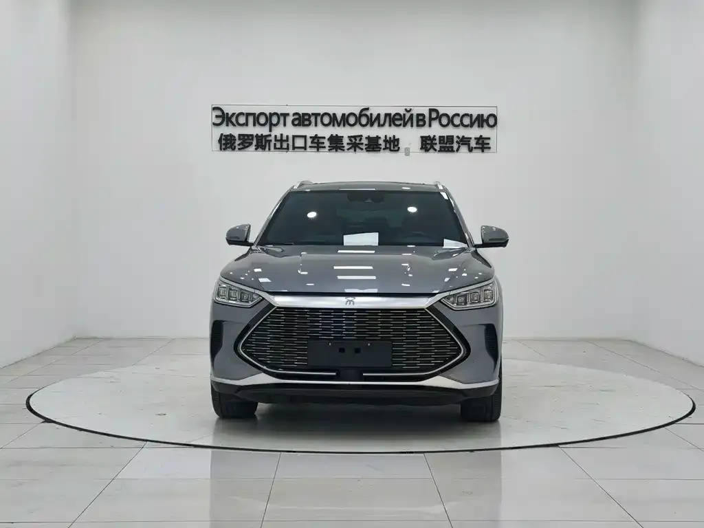 BYD PLUS New Energy 2023 из CN, фото 6