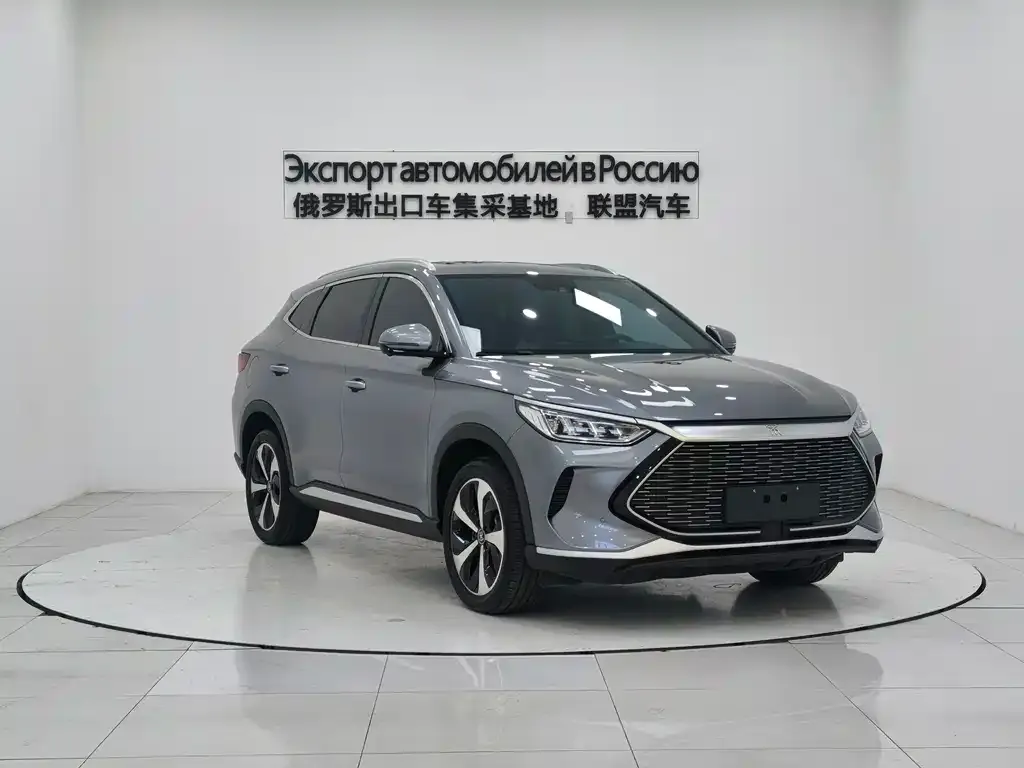 BYD PLUS New Energy 2023 из CN, фото 5