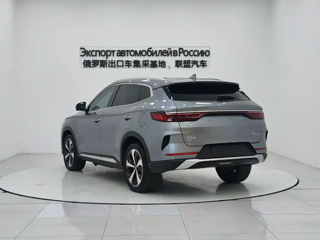 BYD PLUS New Energy 2023 из CN, фото 2