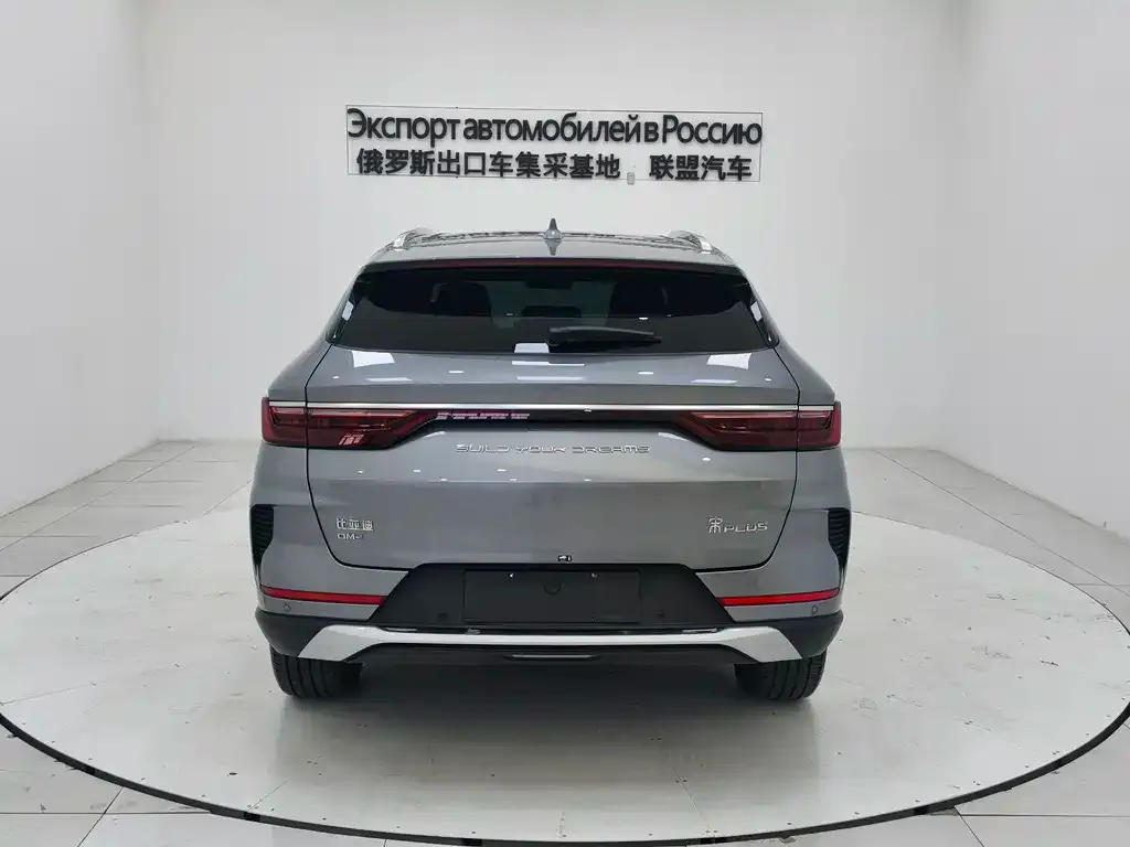 BYD PLUS New Energy 2023 из CN, фото 3