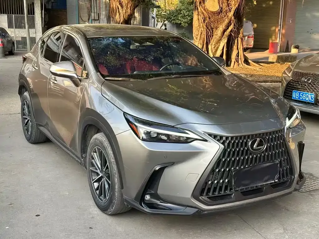 Lexus NX 2023 из CN, фото 8