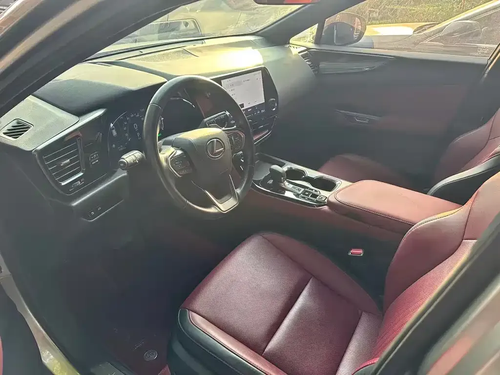 Lexus NX 2023 из CN, фото 6