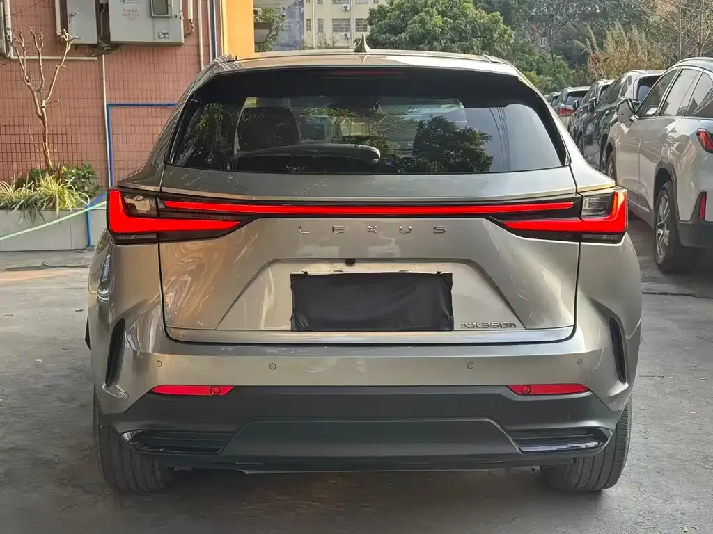 Lexus NX 2023 из CN, фото 3