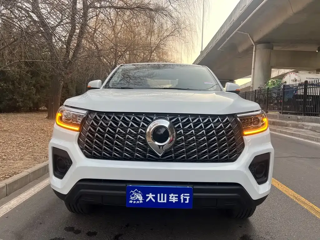Great Wall Pao 2024 из CN, фото 8