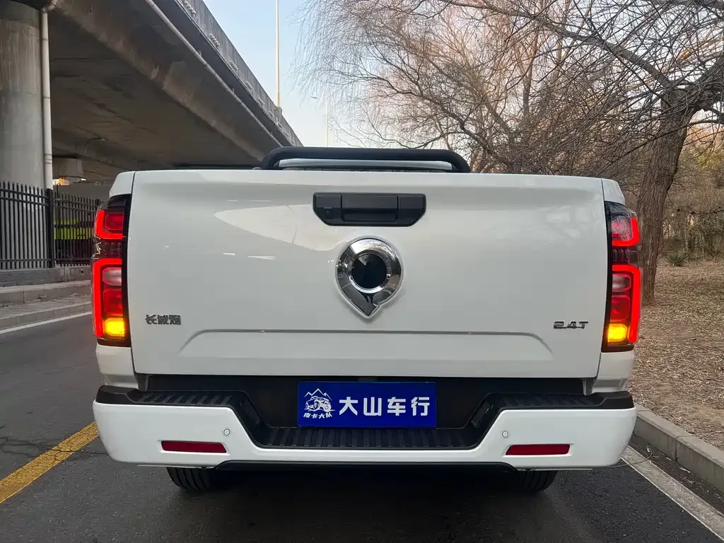Great Wall Pao 2024 из CN, фото 6
