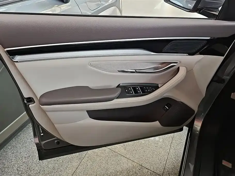 BYD PLUS New Energy — фото 10