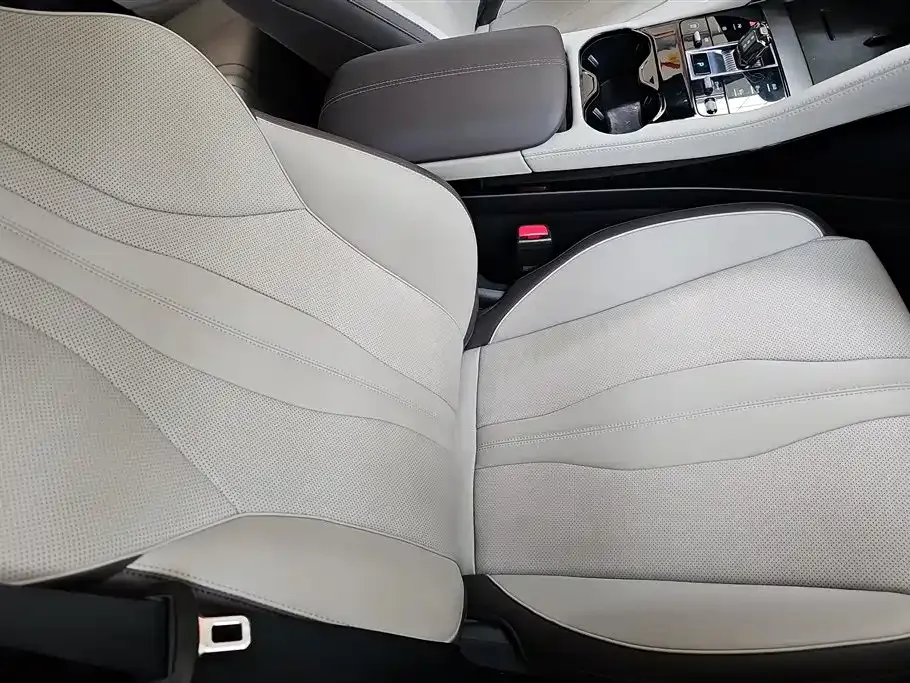 BYD PLUS New Energy — фото 5