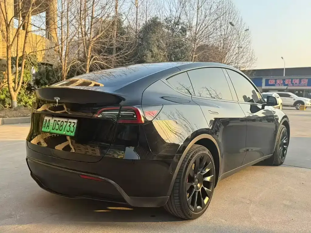 Tesla Model Y 2022 из CN, фото 8