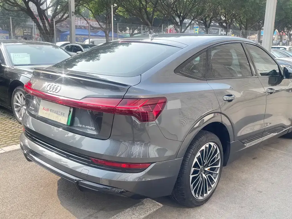 Audi e-tron (Import) 2022 из CN, фото 6