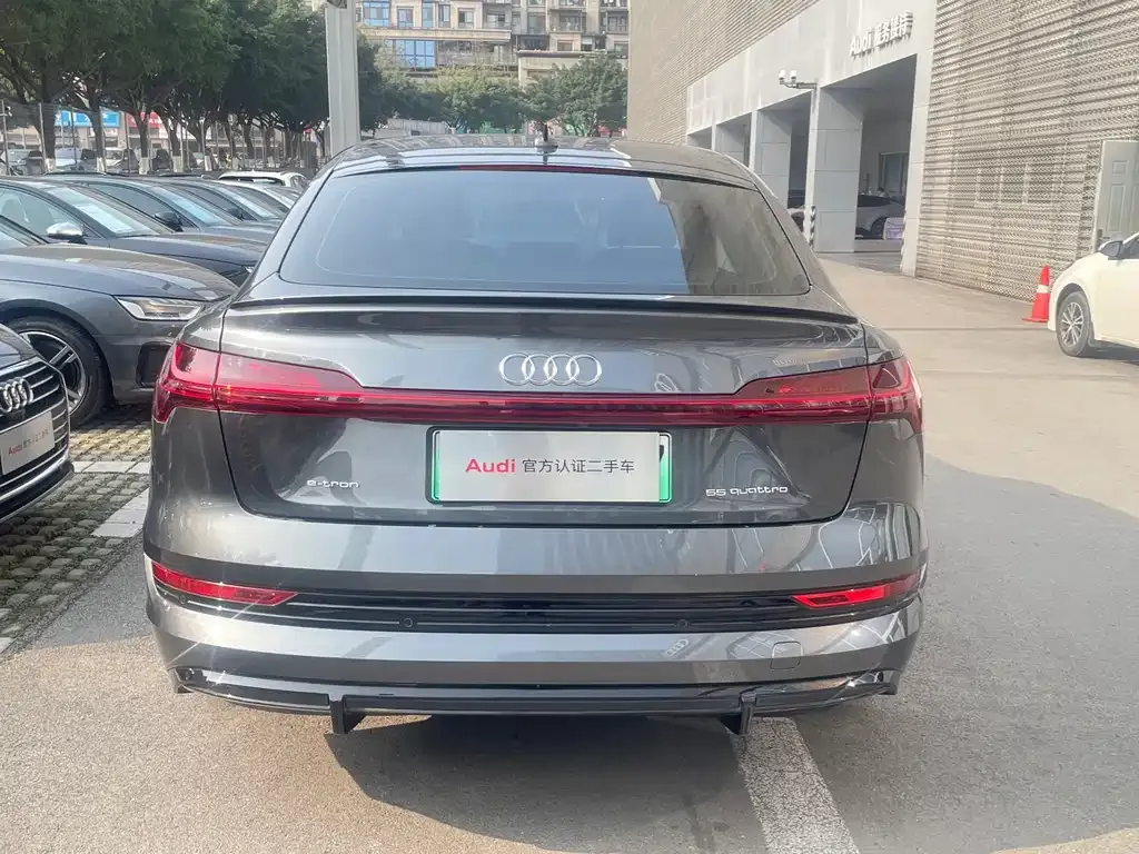 Audi e-tron (Import) 2022 из CN, фото 10