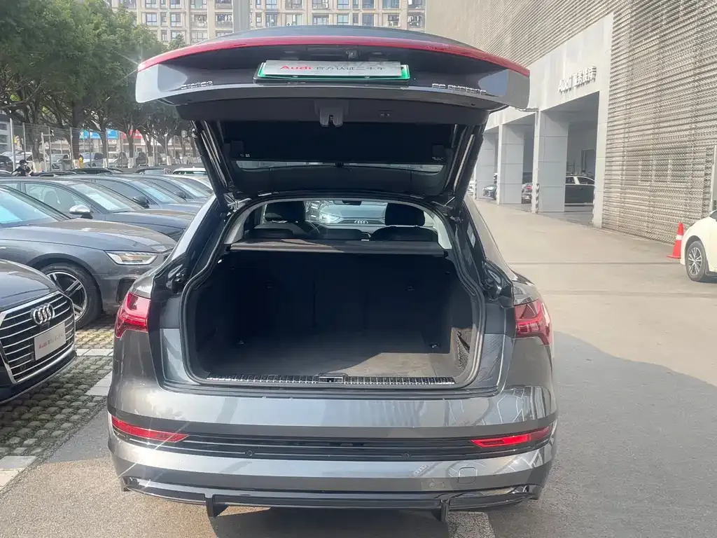 Audi e-tron (Import) 2022 из CN, фото 9