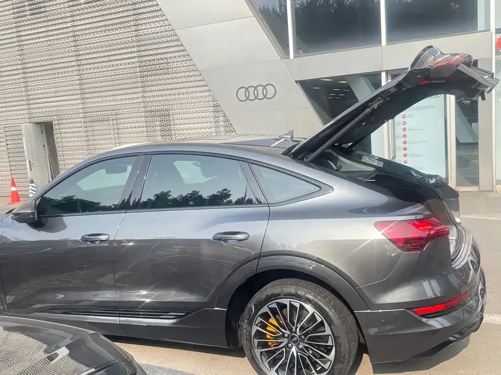 Audi e-tron (Import) 2022 из CN, фото 4