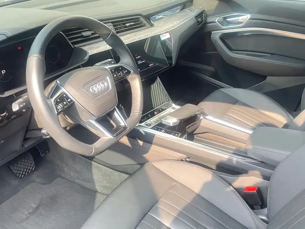 Audi e-tron (Import) 2022 из CN, фото 8