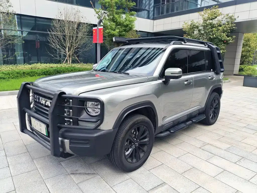 Haval Menglong New Energy 2024 из CN, фото 1