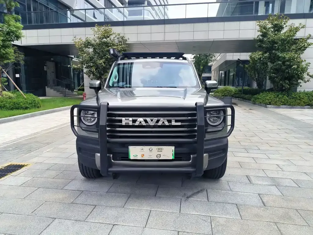 Haval Menglong New Energy 2024 из CN, фото 10