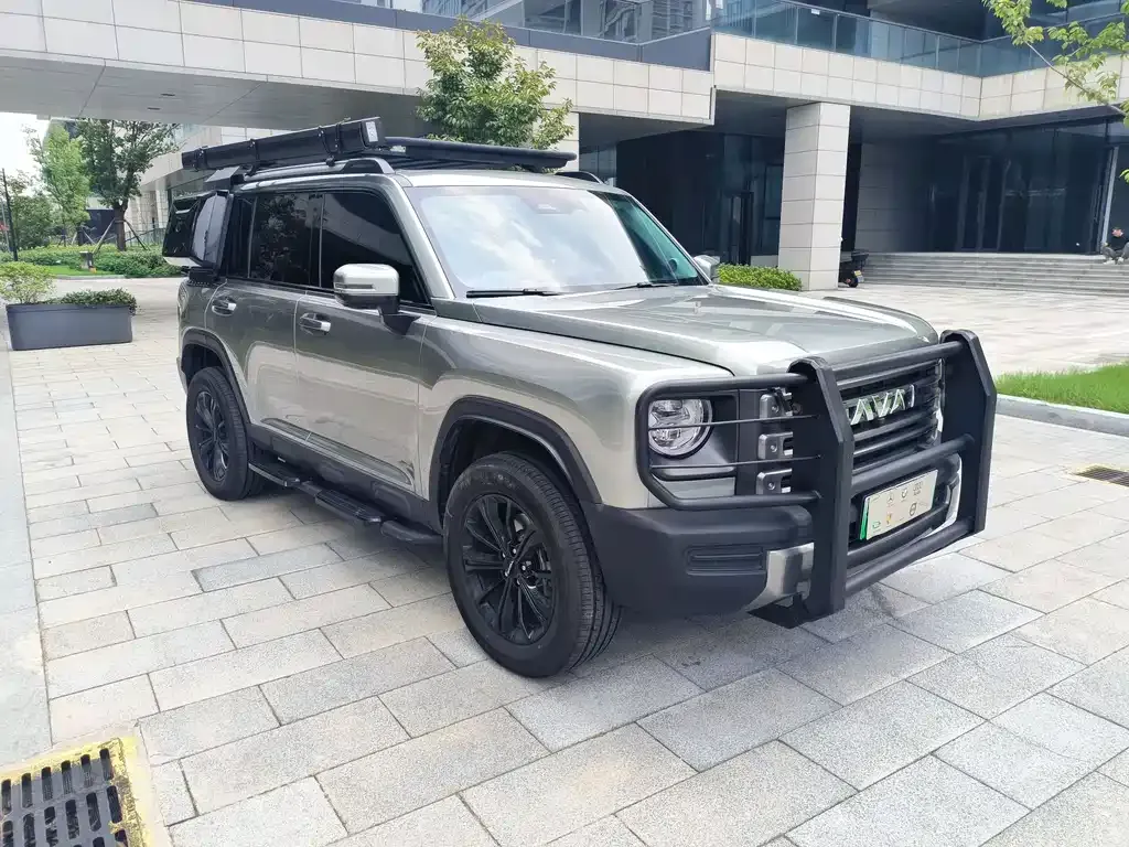 Haval Menglong New Energy 2024 из CN, фото 4