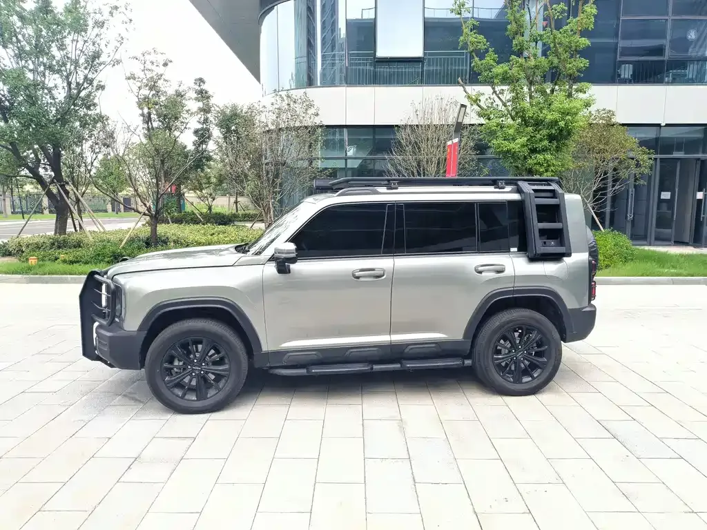 Haval Menglong New Energy 2024 из CN, фото 3
