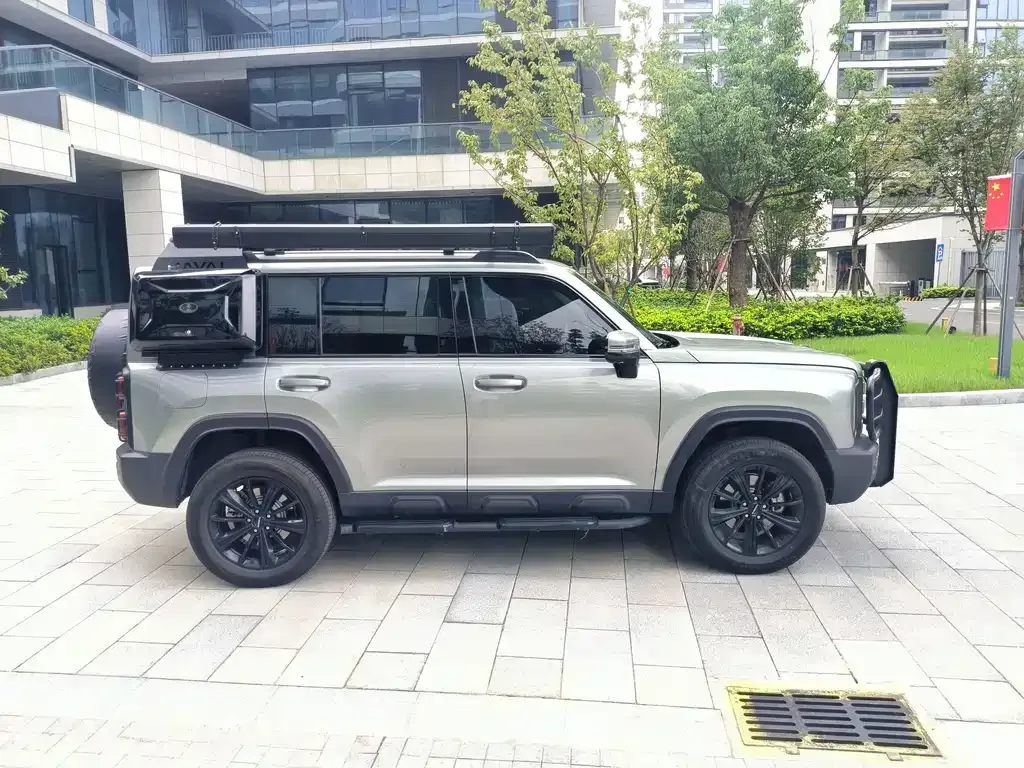 Haval Menglong New Energy 2024 из CN, фото 6