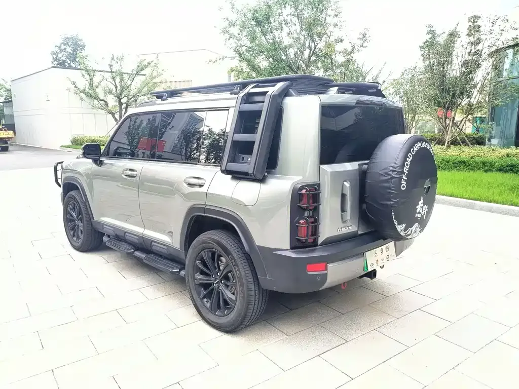 Haval Menglong New Energy 2024 из CN, фото 5