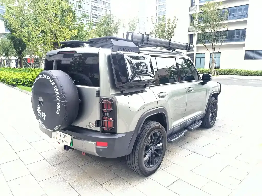 Haval Menglong New Energy 2024 из CN, фото 7