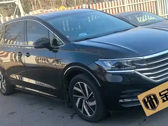Volkswagen Viloran 2024 из CN, фото 3