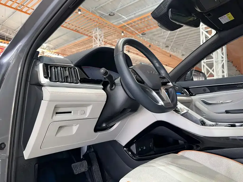 BYD PLUS New Energy 2024 из CN, фото 2